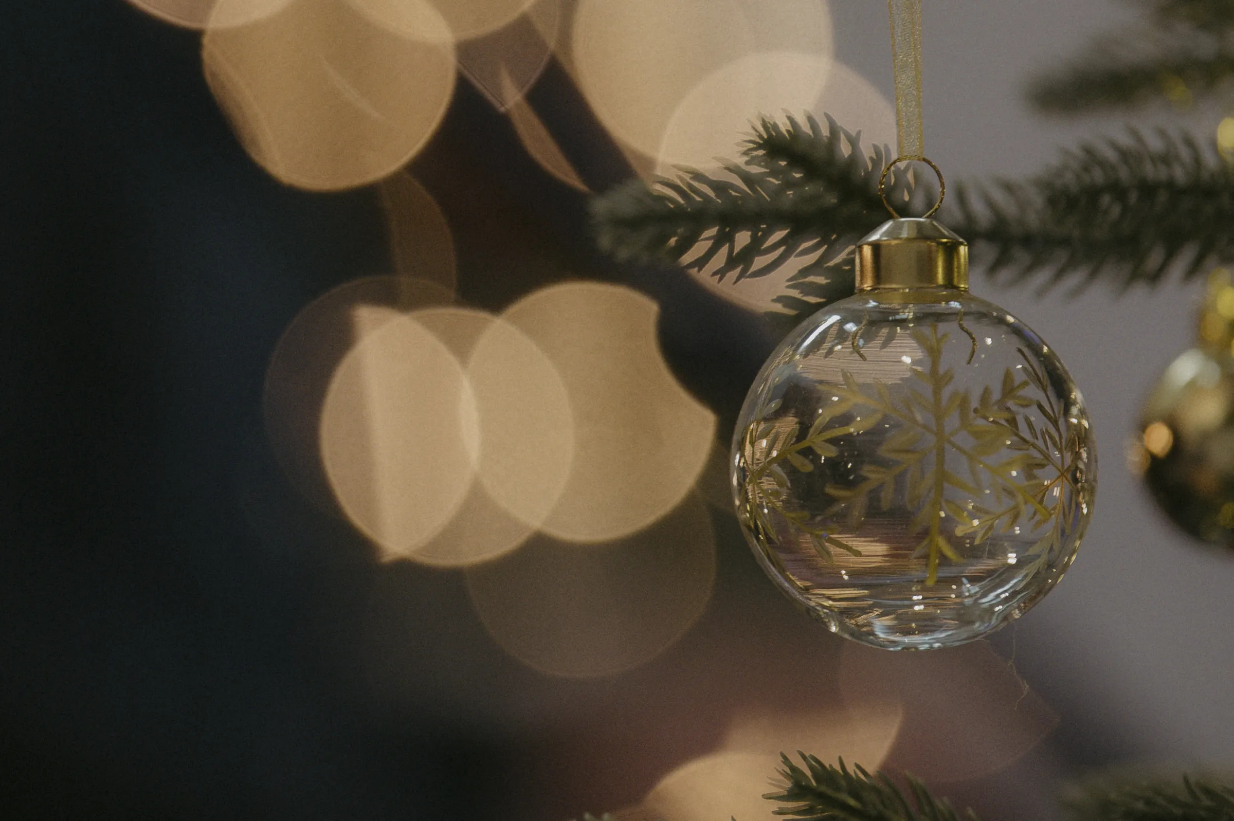 Lifespring Christmas at Lifespring